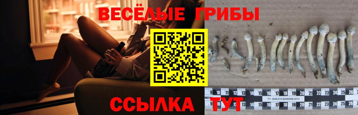 Псилоцибиновые грибы прущие грибы Великий Новгород